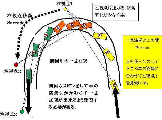 コーナリング中の一点注視とサッケイド